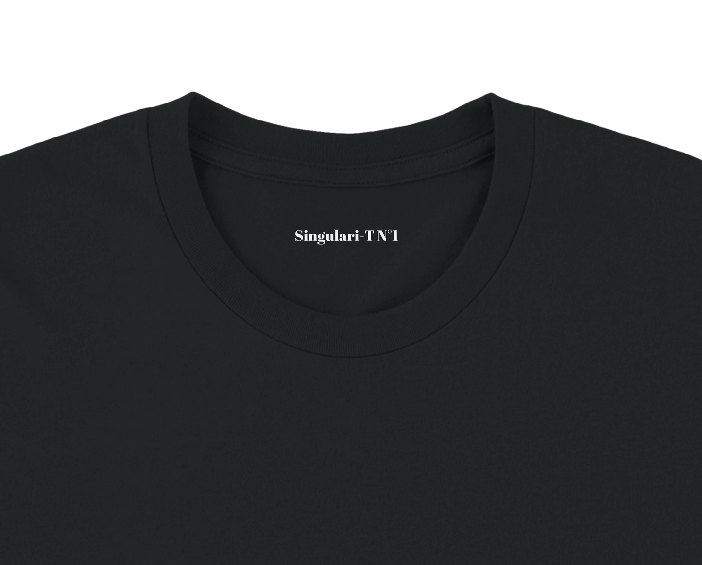 Singulari-T N°1 – Imaginez